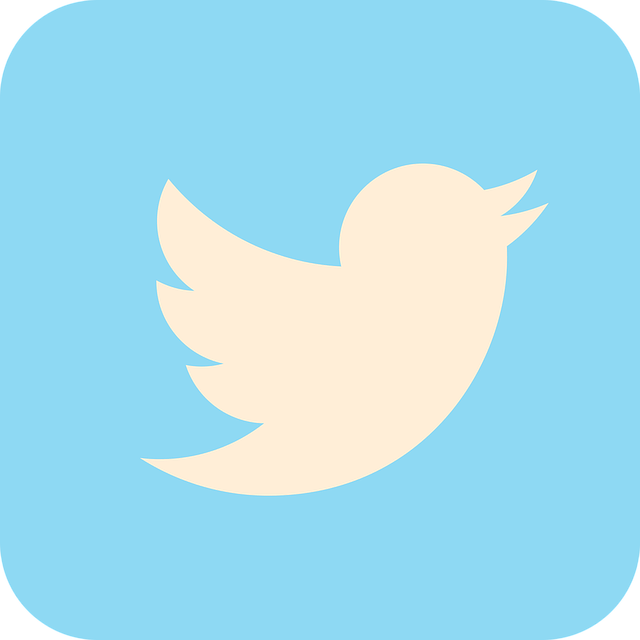 Img twitter